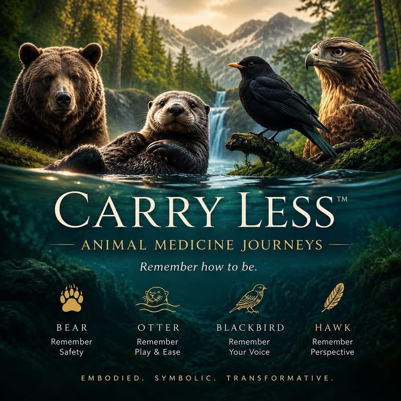 Carry Less Animal Medicine Journeys featuring bear, otter, blackbird, and hawk imagery
